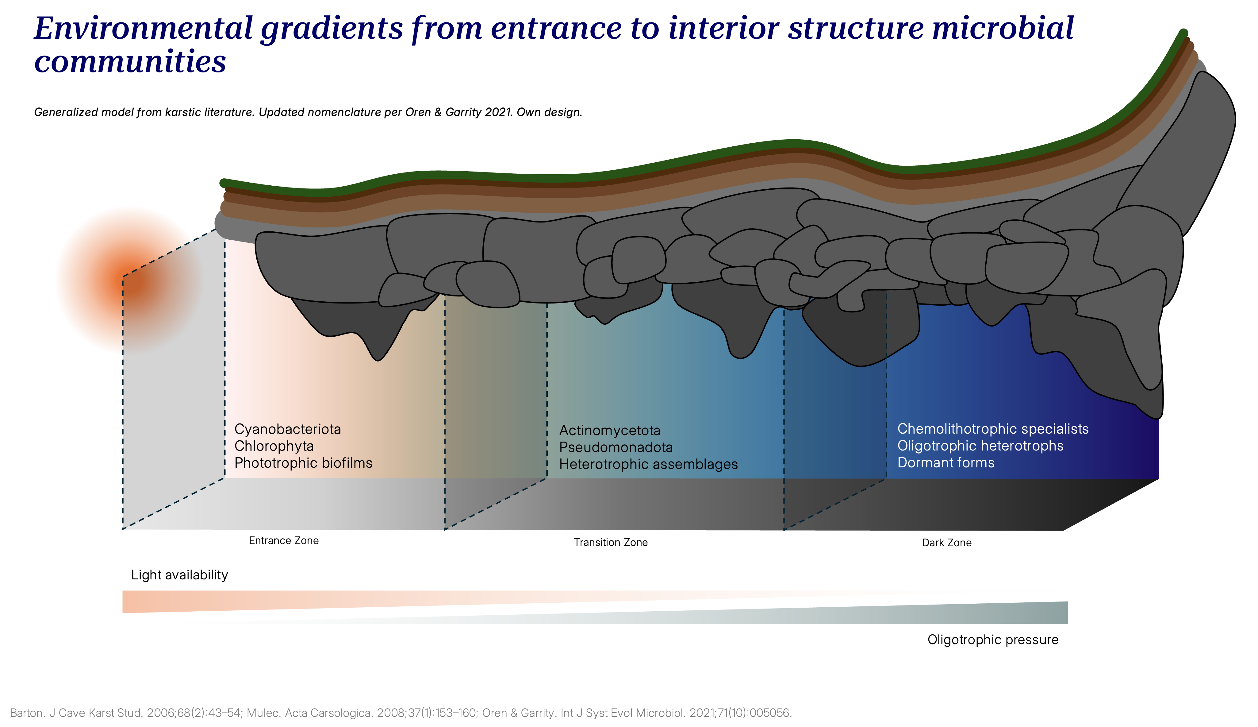 Schematic of the light gradient across the Organal San Antonio cave sectors.